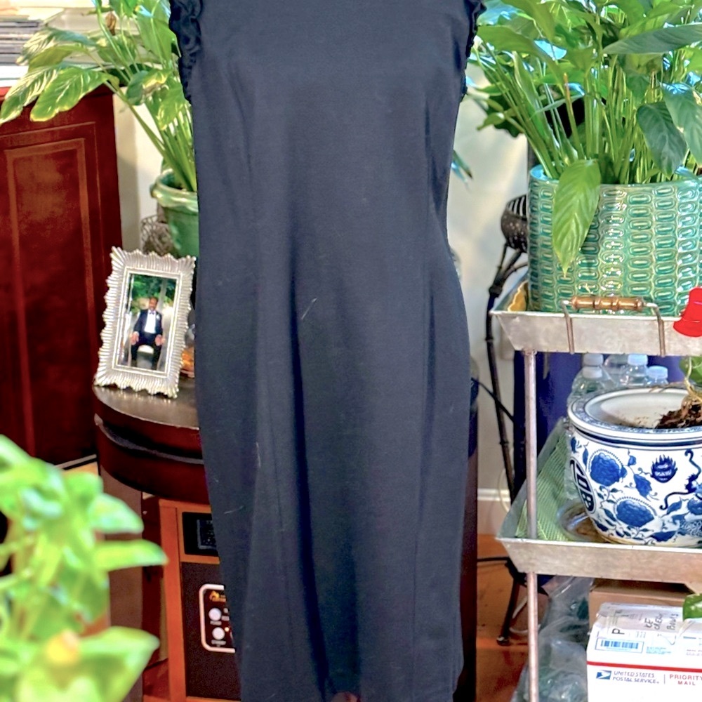 Talbots LBD - Picture 8 of 8